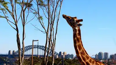Taronga Zoo